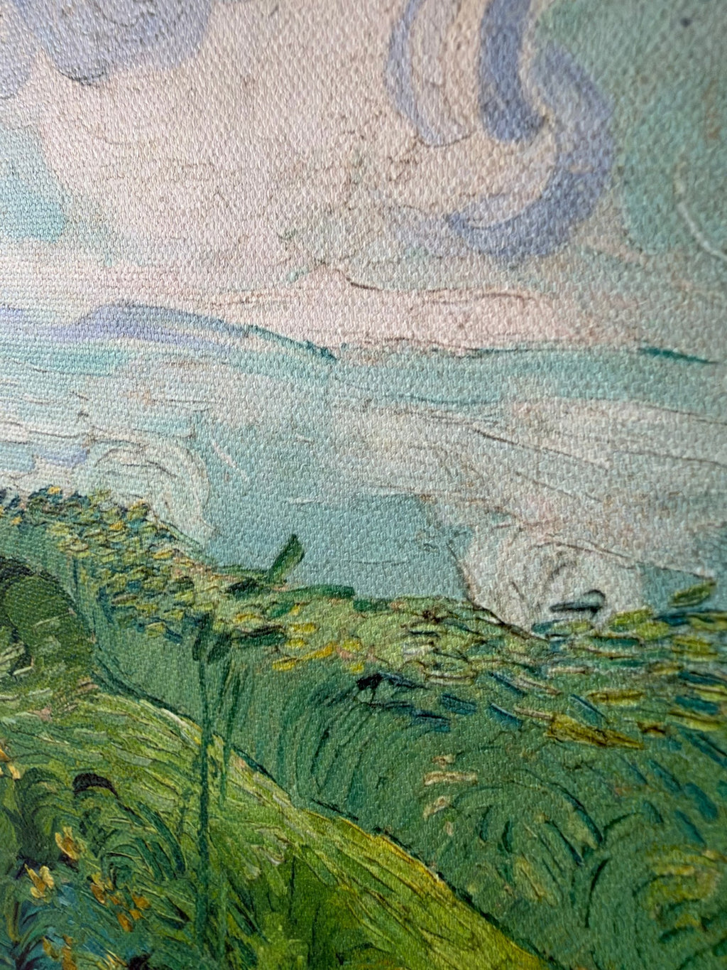 Vincent van Gogh — Green Wheat Fields, Auvers Framed Print (11×14)